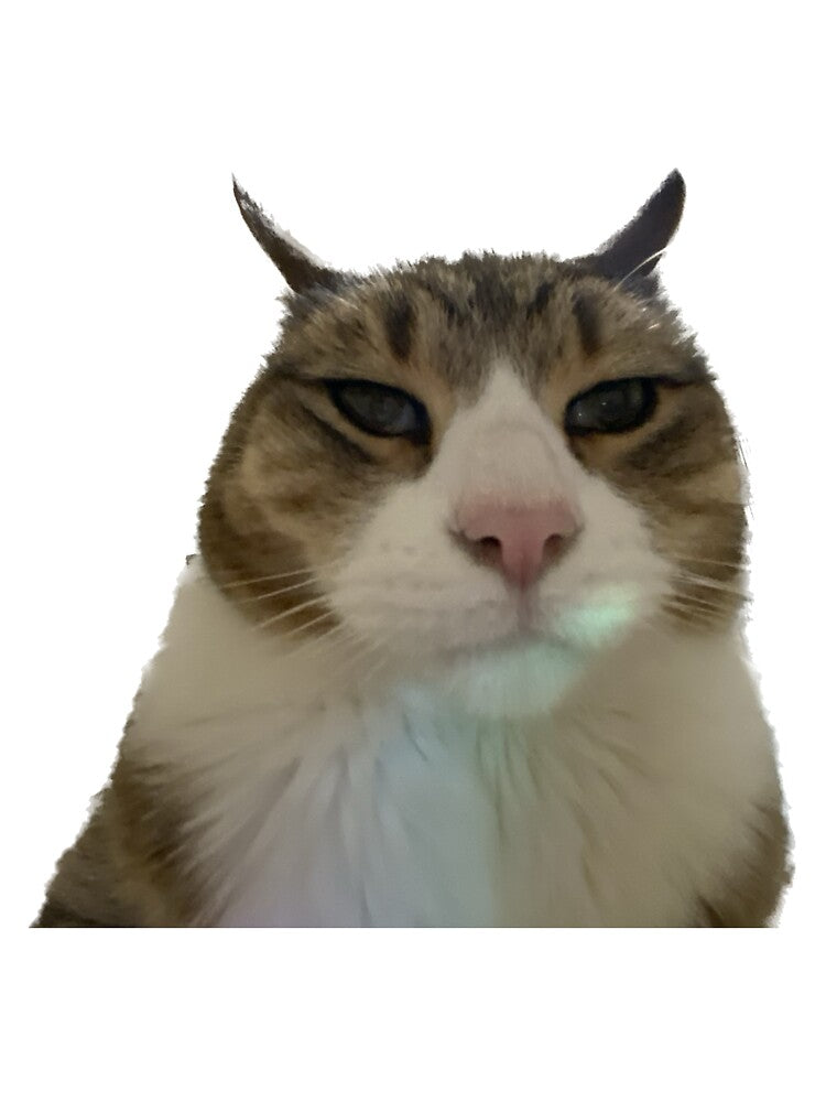 Meme cat by pheebert23