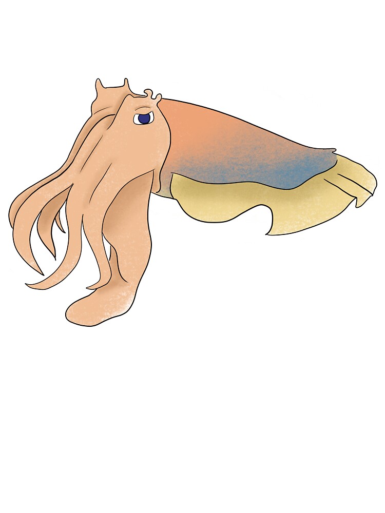 Cuttlefish by beansdesignco