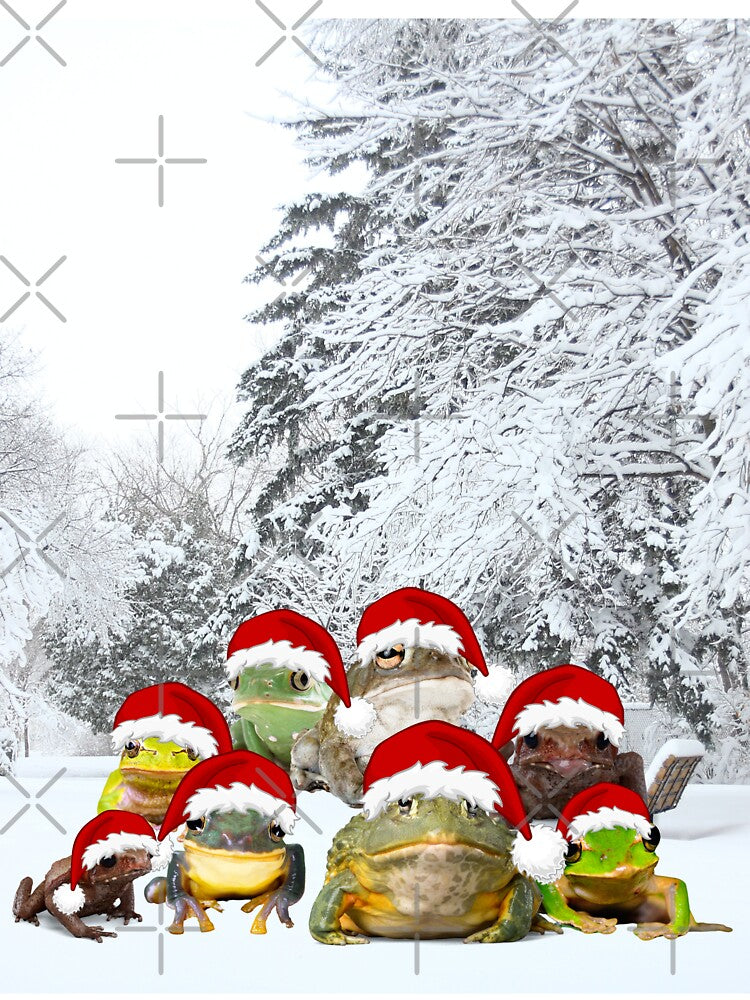 Frog Christmas Snow Scene by Imemewell