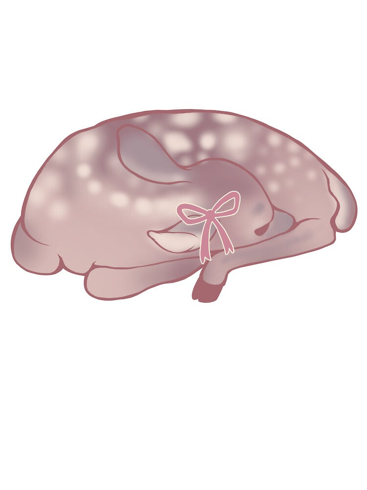 Coquette Sleeping Fawn by Nominskies