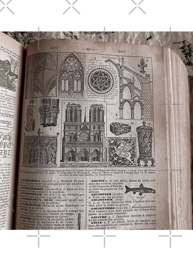 A French Dictionary from the early 1900s by Gothicrelics
