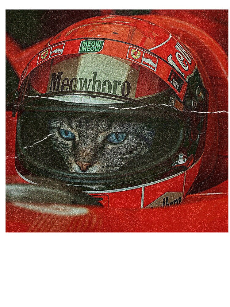 Funny Meme Cat Car Racing by RebeccaLittlee