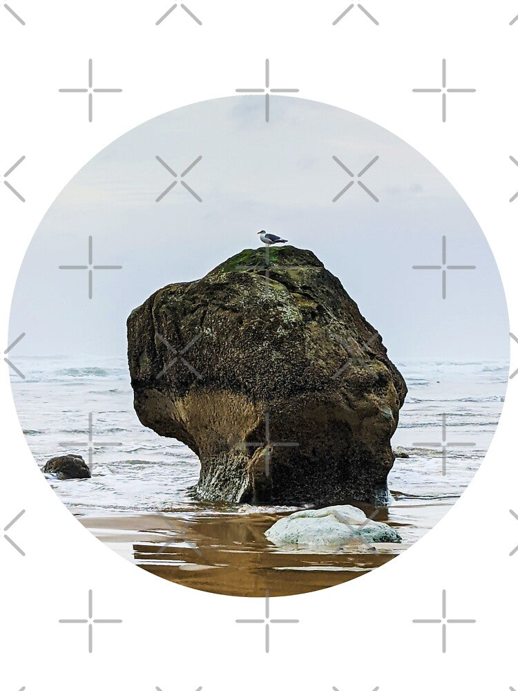 Seagull on a Rock (original photo) by Grace Feucht