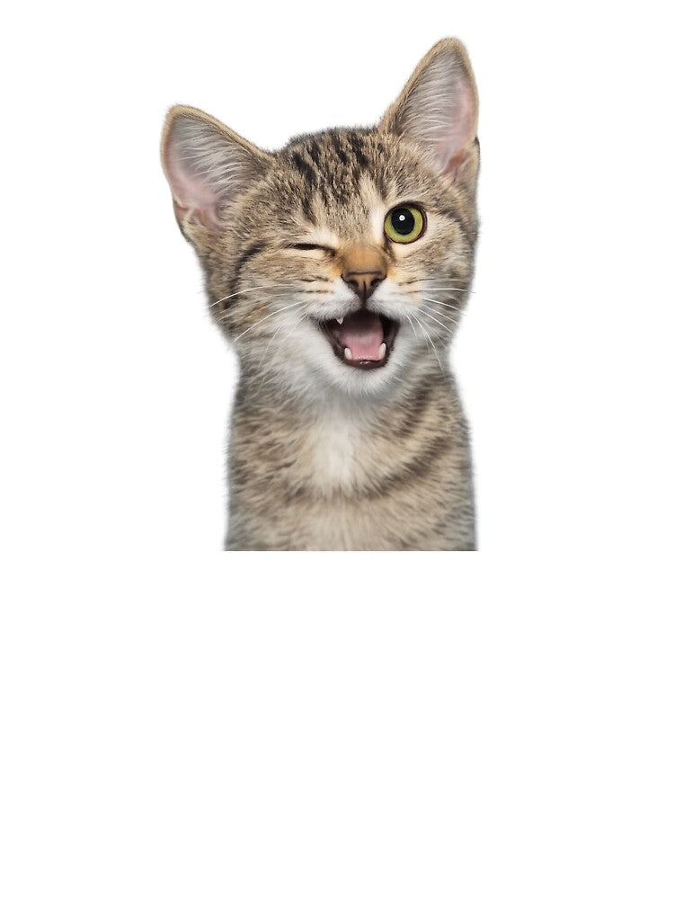 Funny cat wink by t-patterns