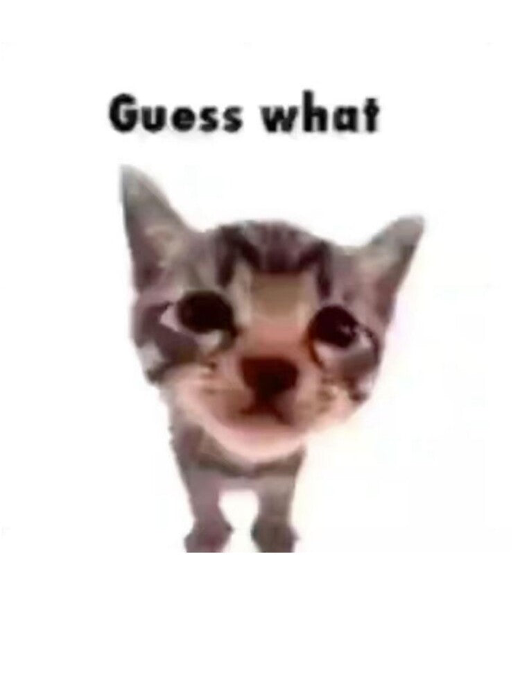 Guess What, Silly Cat by TohruDesigns
