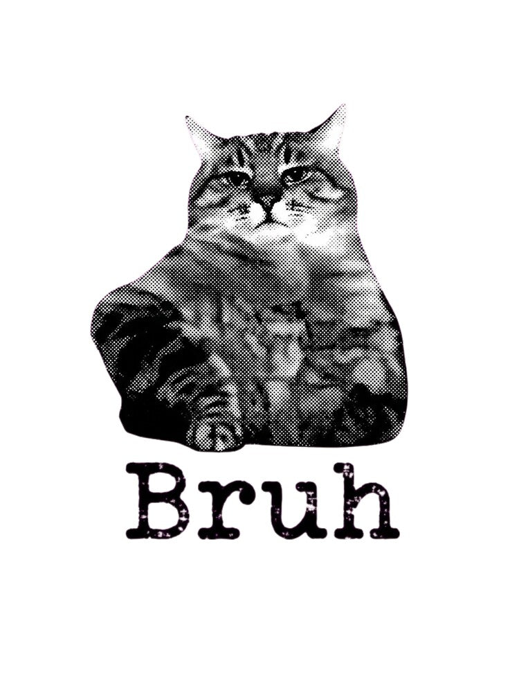 Bruh-Cat-Funny-Black-Cat-Face-Meme-Retro-Gift by world+167