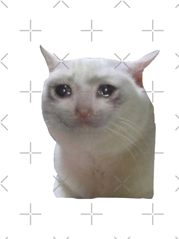 Sad cat by Katrina Dunsire