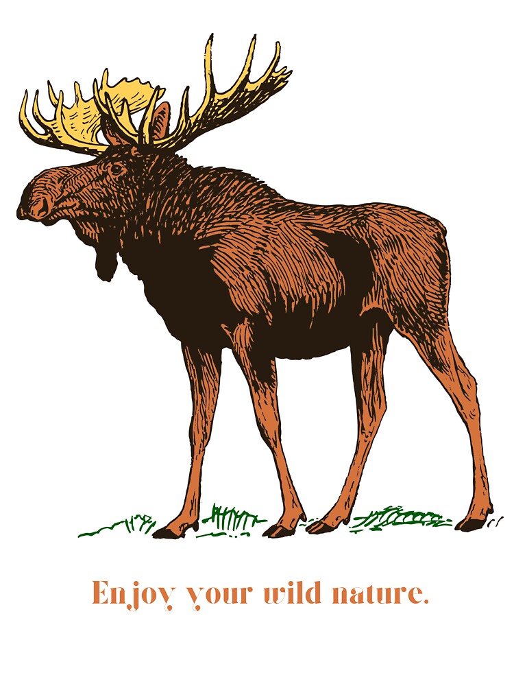 The deer. by RAJSHIVA