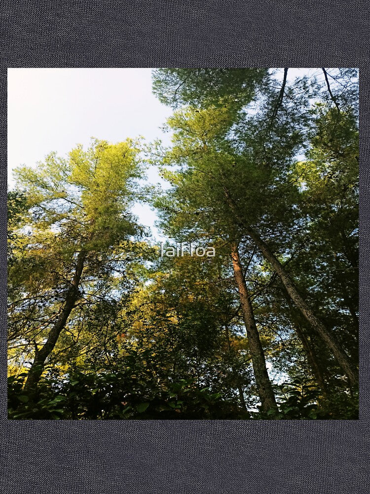 In the woods by Iail Ioa
