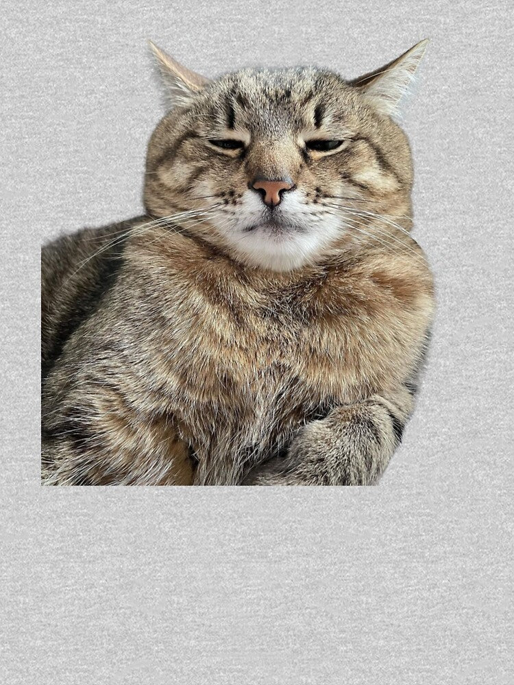 cat meme face by jassine11