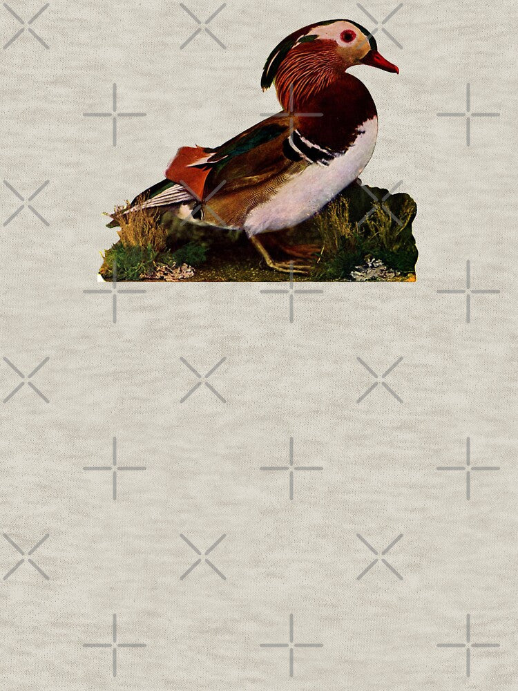 Vintage Mandarin Duck by dogemporium