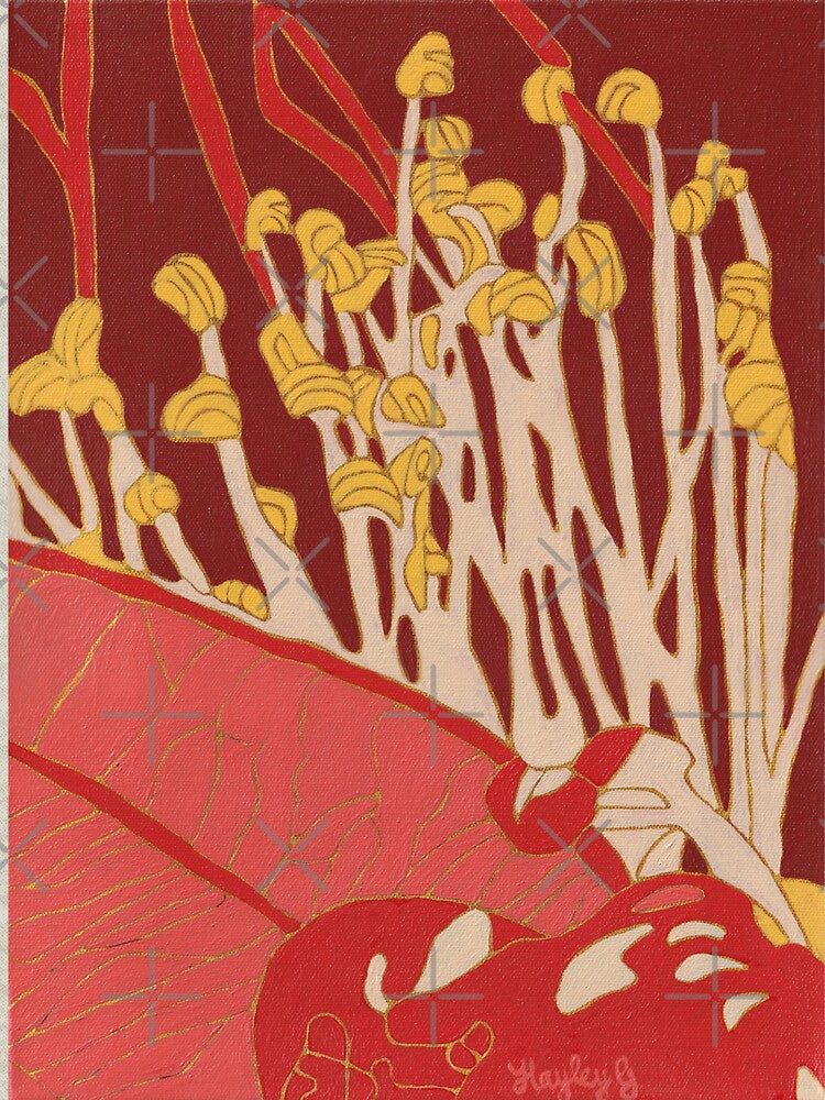 Golden Penda in Red Ochre - Australian flowers by hayleygpaints