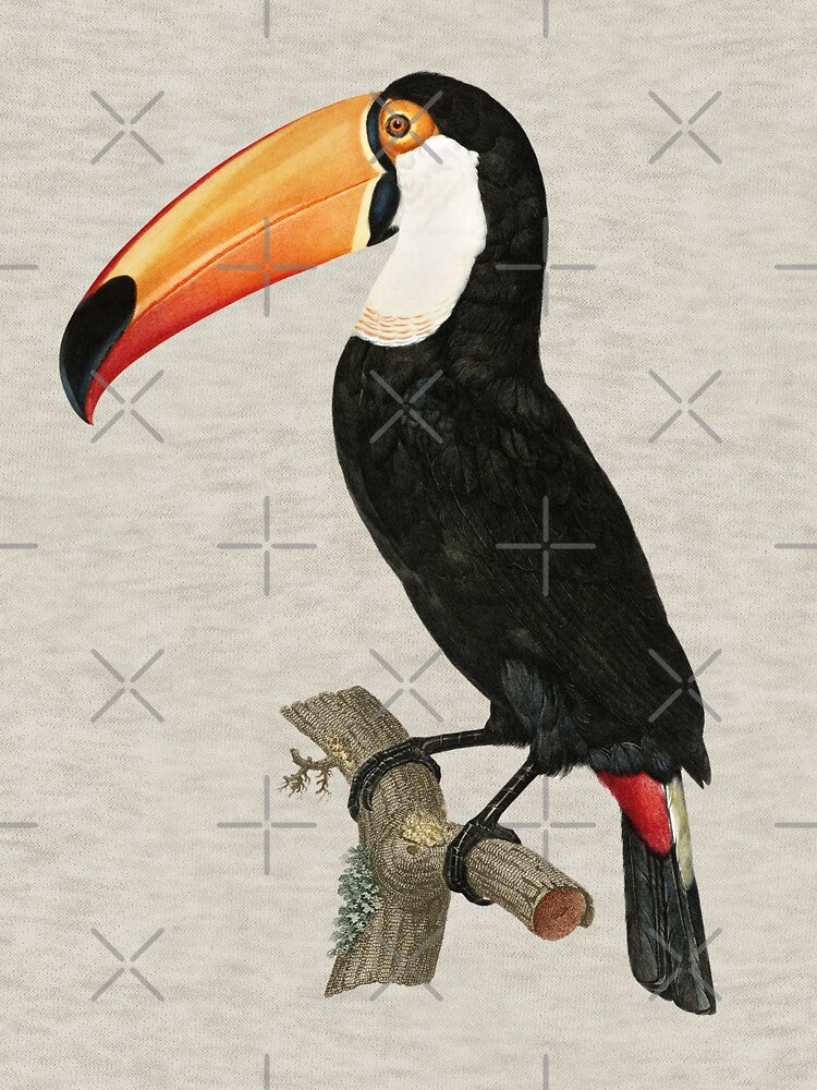 Toucan by LP