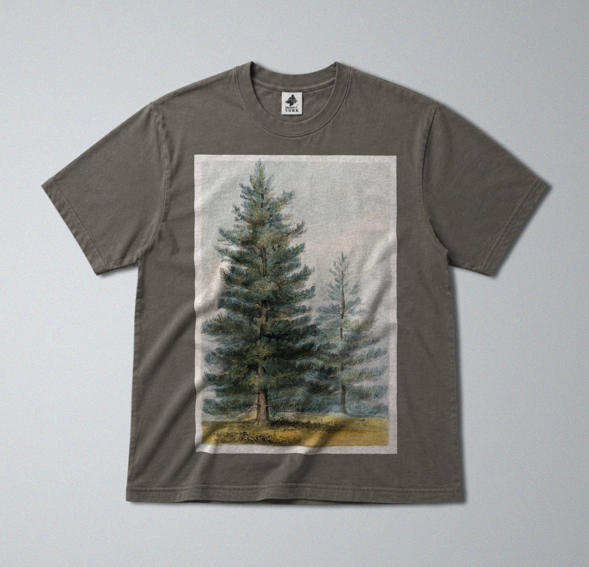 100% Cotton Tee - Regular Fit - Unisex - Pine tree Print - Woodland & Forest art Unisex