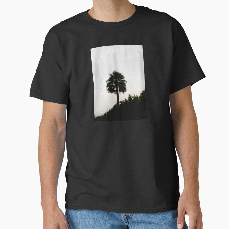 lonely palm aesthetic cool trendy photography by Ray Loka