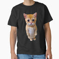 El Gato Meme Sad Crying Cat Munchkin Kitty Meme Trendy by lhkmmo44