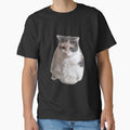 sad grumpy cat by CatDealer