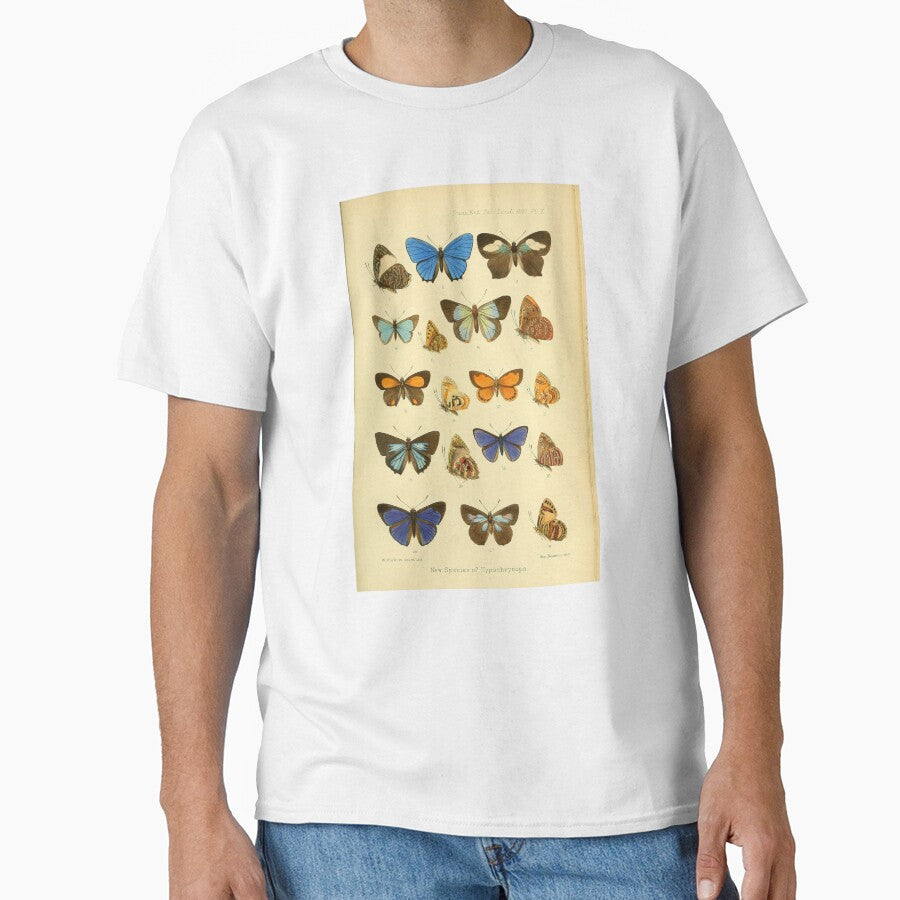Butterflies Vintage Illustration by bookishneighbor
