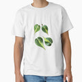 Philodendron Brazil by Phoebew03
