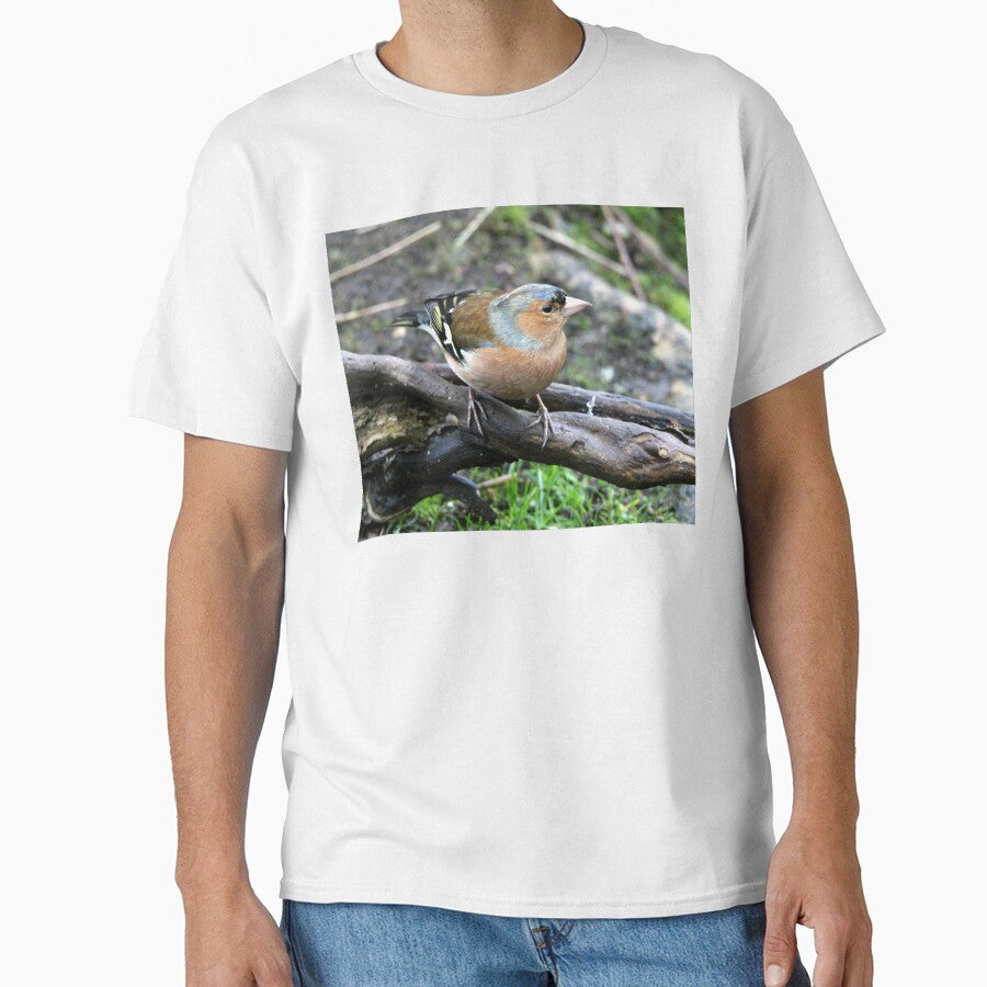chaffinch by KathleenDawson