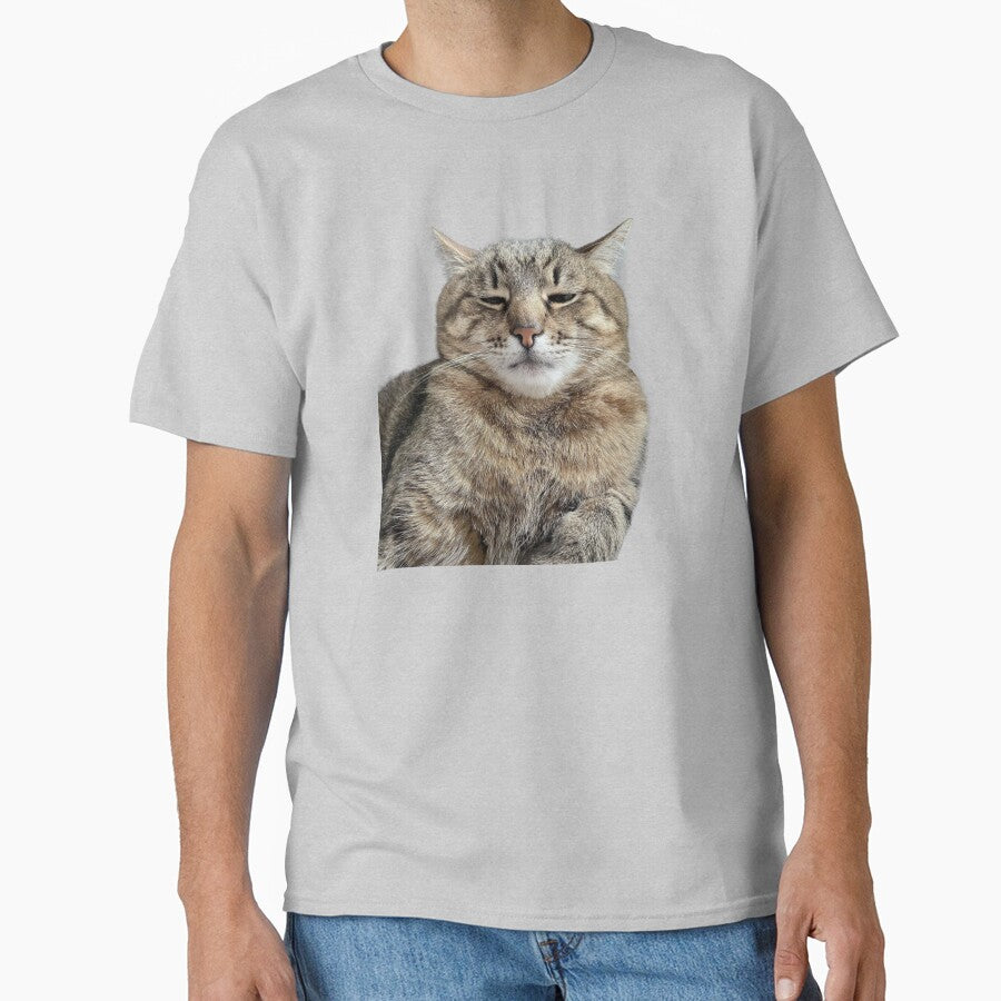 cat meme face by jassine11