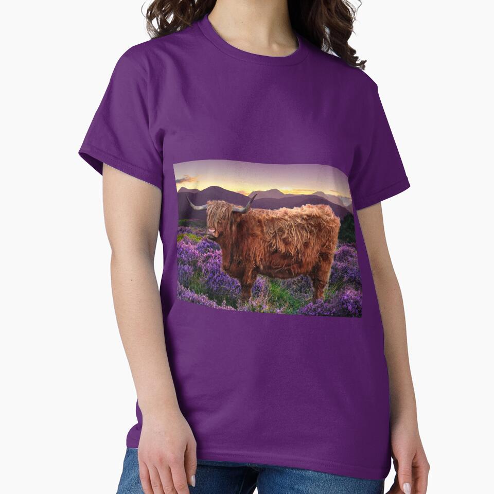 Highland Cow by Alisonchambers2