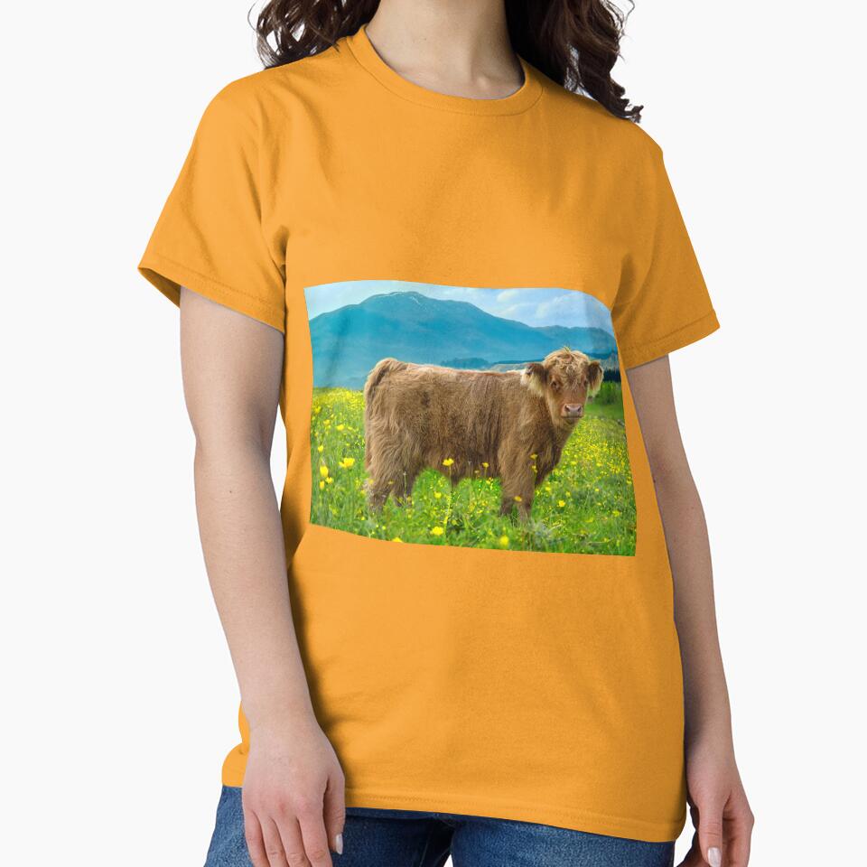 Highland Cow Calf by Alisonchambers2