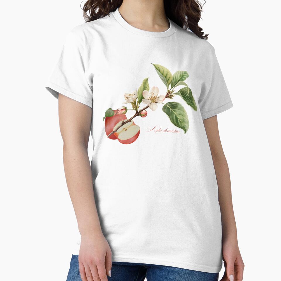 Malus domestica | Flowering Branch and Fruit Botanical Illustration by ChristinePartlow