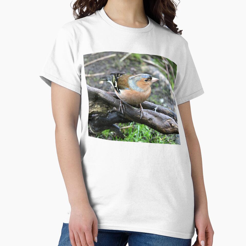 chaffinch by KathleenDawson