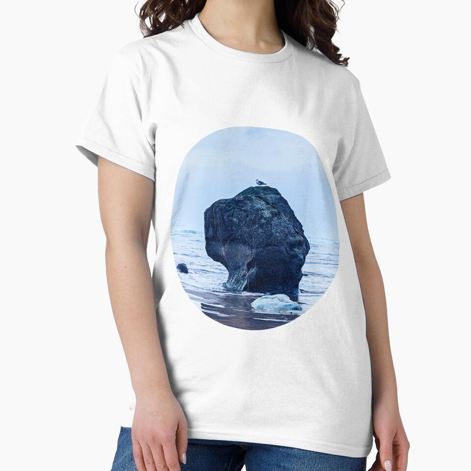 Seagull on a Rock (blue edit) by Grace Feucht