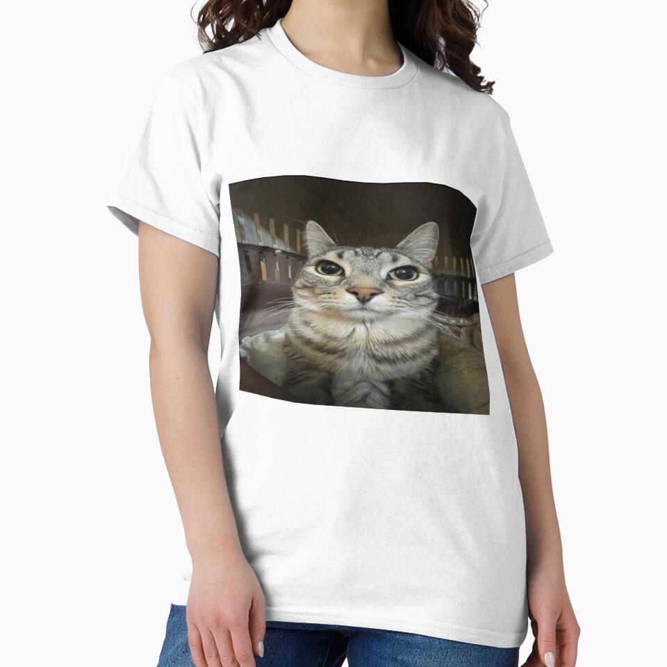 Cat looking directly at you by Greg Heffley
