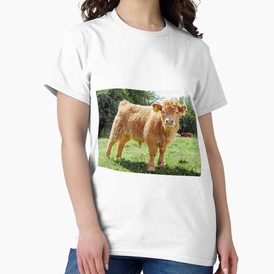 Highland Cow, The Inquisitive Calf by mhfore