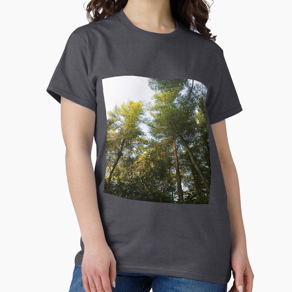 In the woods by Iail Ioa