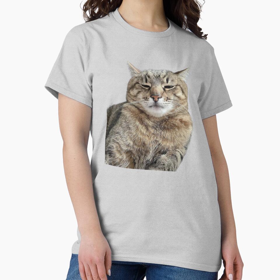 cat meme face by jassine11