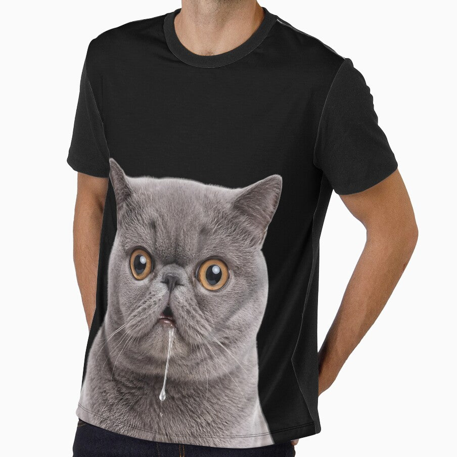 Drooling British Shorthair Cat Meme by teeperfect