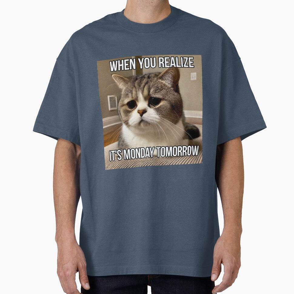 When You Realize It's Monday Tomorrow - Funny Pathetic Cat Meme by CatmemesArt