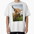 Highland Cow standing in field by Alex Sharp