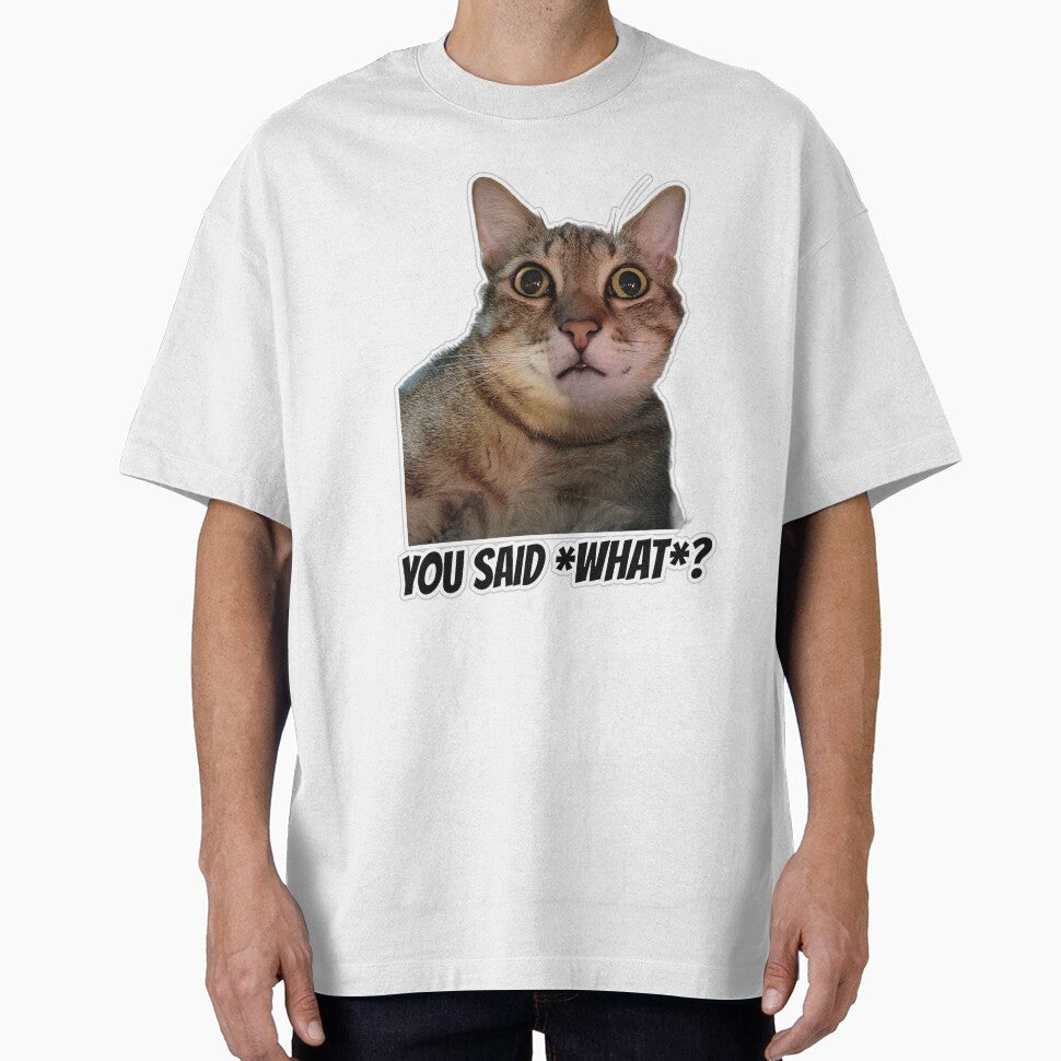 You Said What? Shocked Cat Funny Meme by MoodyCoCo