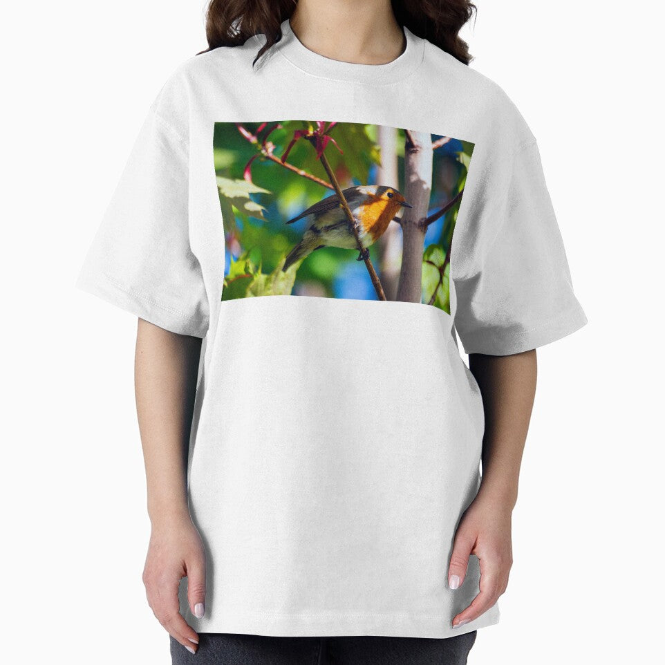Robin perched in tree by emergentdesigns