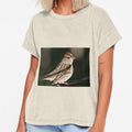 Female White-crowned Sparrow by rodmacpherson